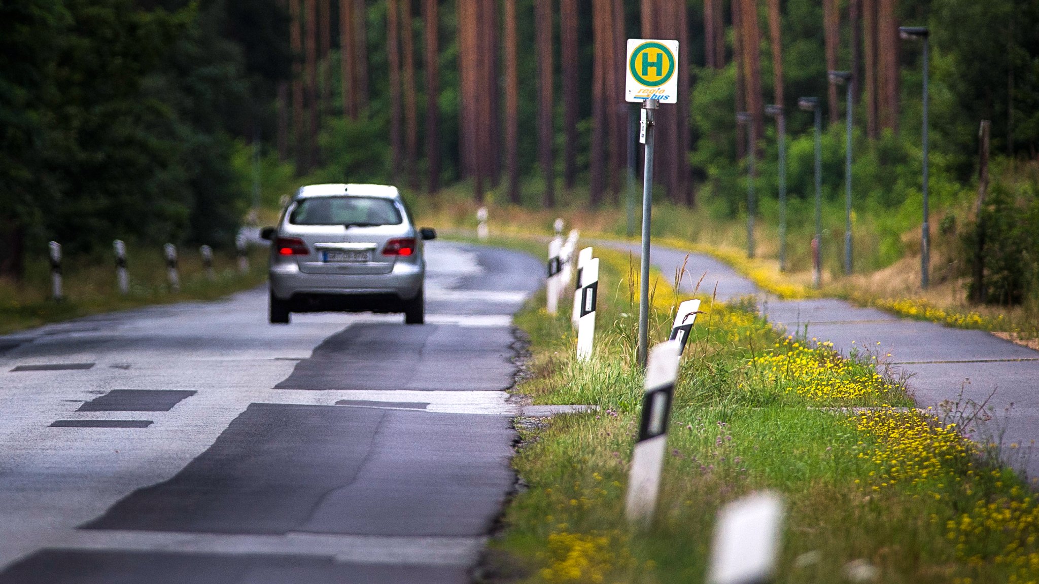 Auto fährt auf der Landstraße durch den Wald an einer leeren Bushaltestelle vorbei | Bild: picture alliance / photothek | Florian Gaertner Auto fährt auf der Landstraße durch den Wald an einer leeren Bushaltestelle vorbei