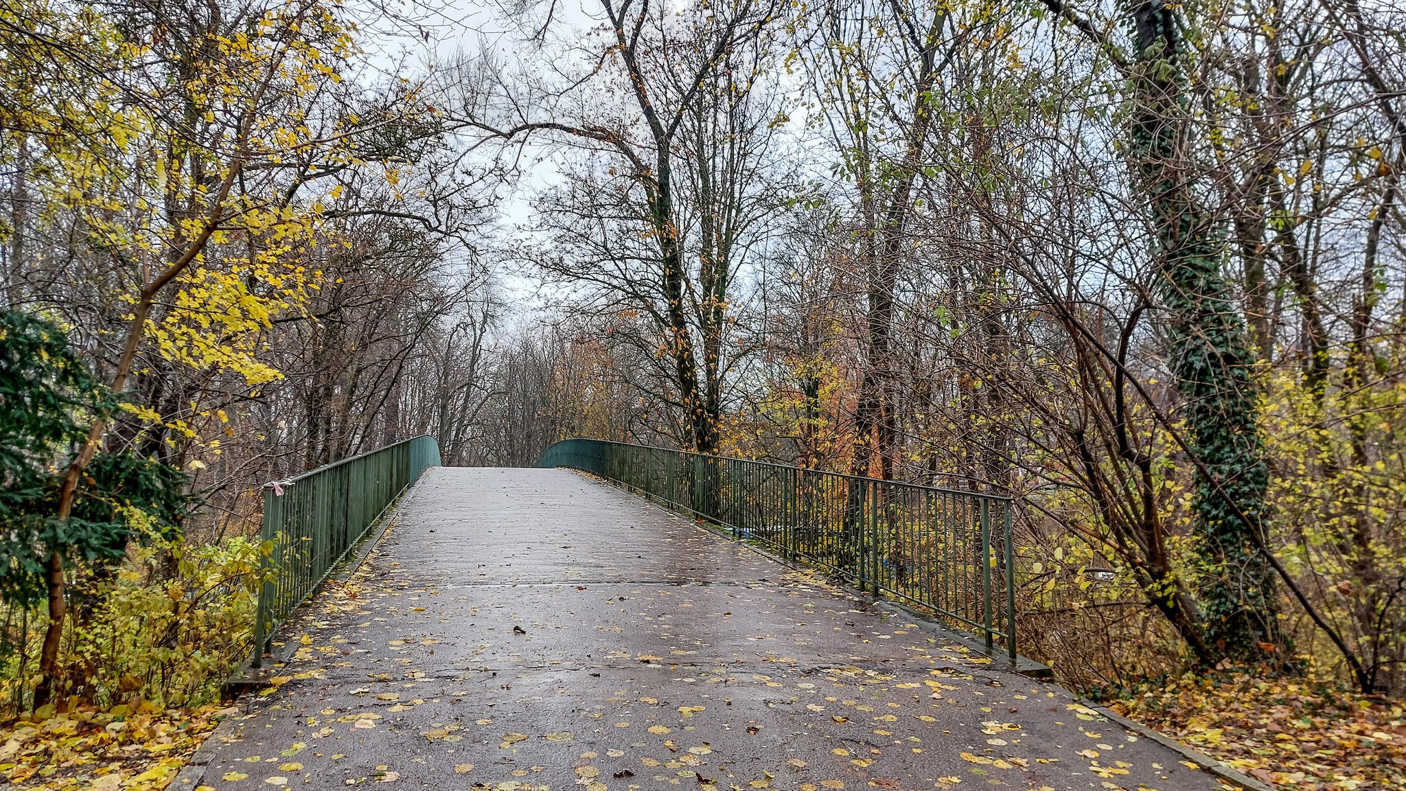 Englischer Garten: Identität des verbrannten Mannes geklärt